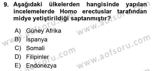 Gastronomi Tarihi Dersi 2021 - 2022 Yılı (Vize) Ara Sınav Soruları 9. Soru