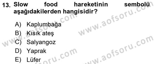 Gastronomi Tarihi Dersi 2021 - 2022 Yılı (Final) Dönem Sonu Sınav Soruları 13. Soru