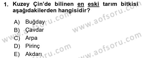 Gastronomi Tarihi Dersi 2021 - 2022 Yılı Yaz Okulu Sınav Soruları 1. Soru
