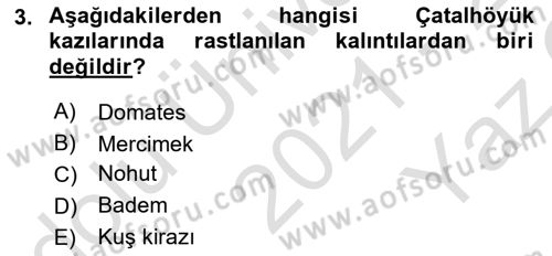 Gastronomi Tarihi Dersi 2021 - 2022 Yılı Yaz Okulu Sınav Soruları 3. Soru