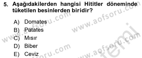 Gastronomi Tarihi Dersi 2021 - 2022 Yılı Yaz Okulu Sınav Soruları 5. Soru