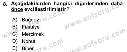 Gastronomi Tarihi Dersi 2021 - 2022 Yılı Yaz Okulu Sınav Soruları 8. Soru