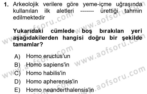 Gastronomi Tarihi Dersi 2022 - 2023 Yılı Yaz Okulu Sınav Soruları 1. Soru