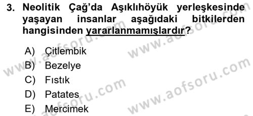 Gastronomi Tarihi Dersi 2022 - 2023 Yılı Yaz Okulu Sınav Soruları 3. Soru