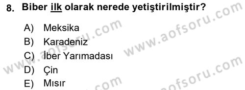 Gastronomi Tarihi Dersi 2022 - 2023 Yılı Yaz Okulu Sınav Soruları 8. Soru