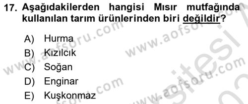 Gastronomi Tarihi Dersi 2023 - 2024 Yılı (Vize) Ara Sınav Soruları 17. Soru
