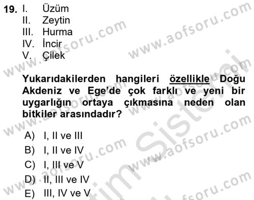 Gastronomi Tarihi Dersi 2023 - 2024 Yılı (Vize) Ara Sınav Soruları 19. Soru