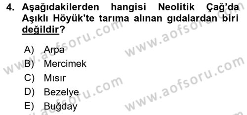 Gastronomi Tarihi Dersi 2023 - 2024 Yılı (Vize) Ara Sınav Soruları 4. Soru