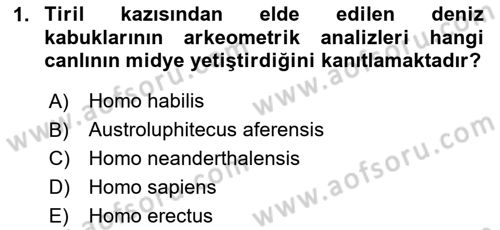Gastronomi Tarihi Dersi 2023 - 2024 Yılı (Final) Dönem Sonu Sınav Soruları 1. Soru