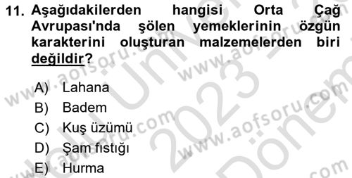 Gastronomi Tarihi Dersi 2023 - 2024 Yılı (Final) Dönem Sonu Sınavı 11. Soru