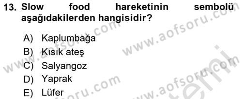 Gastronomi Tarihi Dersi 2023 - 2024 Yılı (Final) Dönem Sonu Sınav Soruları 13. Soru