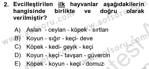 Gastronomi Tarihi Dersi 2023 - 2024 Yılı Yaz Okulu Sınav Soruları 2. Soru
