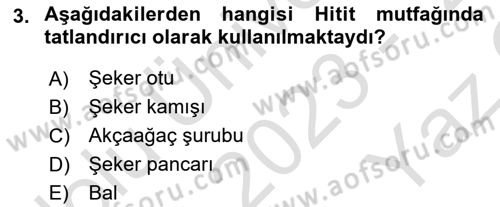 Gastronomi Tarihi Dersi 2023 - 2024 Yılı Yaz Okulu Sınav Soruları 3. Soru