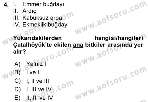 Gastronomi Tarihi Dersi 2023 - 2024 Yılı Yaz Okulu Sınav Soruları 4. Soru