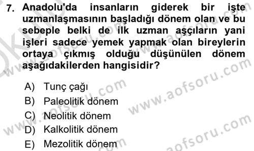 Gastronomi Tarihi Dersi 2023 - 2024 Yılı Yaz Okulu Sınav Soruları 7. Soru