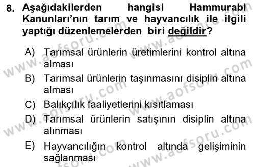 Gastronomi Tarihi Dersi 2023 - 2024 Yılı Yaz Okulu Sınav Soruları 8. Soru