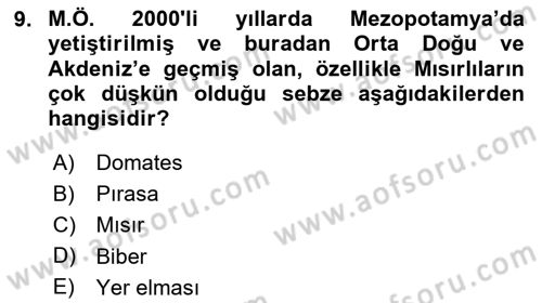 Gastronomi Tarihi Dersi 2023 - 2024 Yılı Yaz Okulu Sınav Soruları 9. Soru