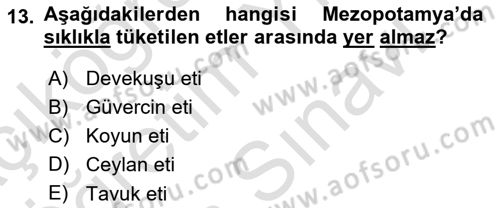 Gastronomi Tarihi Dersi 2024 - 2025 Yılı (Vize) Ara Sınav Soruları 13. Soru