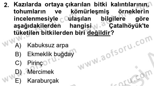 Gastronomi Tarihi Dersi 2024 - 2025 Yılı (Vize) Ara Sınav Soruları 2. Soru