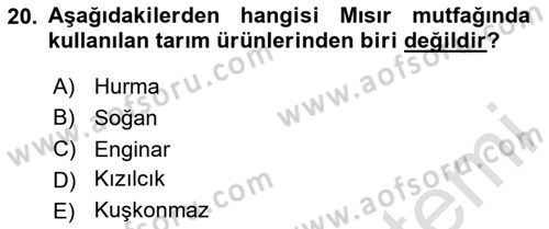 Gastronomi Tarihi Dersi 2024 - 2025 Yılı (Vize) Ara Sınav Soruları 20. Soru