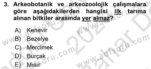 Gastronomi Tarihi Dersi 2024 - 2025 Yılı (Vize) Ara Sınav Soruları 3. Soru