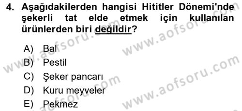 Gastronomi Tarihi Dersi 2024 - 2025 Yılı (Vize) Ara Sınav Soruları 4. Soru