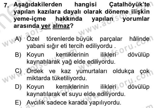 Gastronomi Tarihi Dersi 2024 - 2025 Yılı (Vize) Ara Sınav Soruları 7. Soru