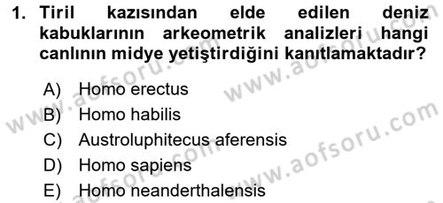 Gastronomi Tarihi Dersi Dönem Sonu Sınavı Deneme Sınav Soruları 1. Soru