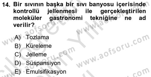 Gastronomi Tarihi Dersi 2024 - 2025 Yılı Yaz Okulu Sınav Soruları 14. Soru