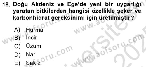 Gastronomi Tarihi Dersi 2024 - 2025 Yılı Yaz Okulu Sınav Soruları 18. Soru