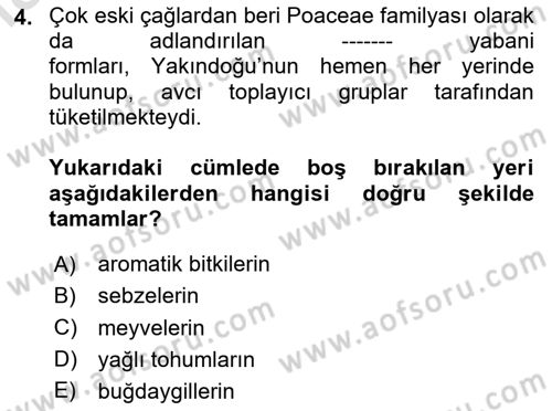 Gastronomi Tarihi Dersi 2024 - 2025 Yılı Yaz Okulu Sınav Soruları 4. Soru