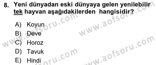 Gastronomi Tarihi Dersi 2024 - 2025 Yılı Yaz Okulu Sınav Soruları 8. Soru