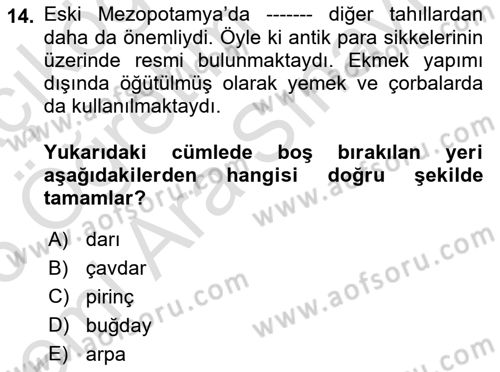 Gastronomi Tarihi Dersi 2025 - 2026 Yılı (Vize) Ara Sınav Soruları 14. Soru