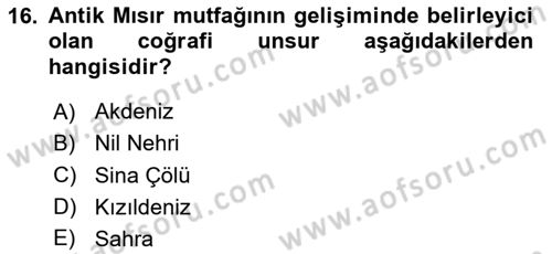 Gastronomi Tarihi Dersi 2025 - 2026 Yılı (Vize) Ara Sınav Soruları 16. Soru