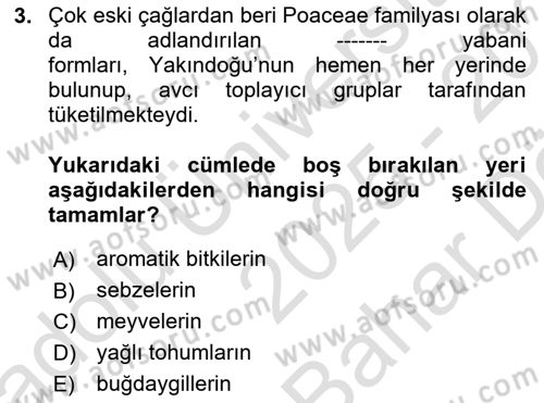 Gastronomi Tarihi Dersi 2025 - 2026 Yılı (Vize) Ara Sınav Soruları 3. Soru