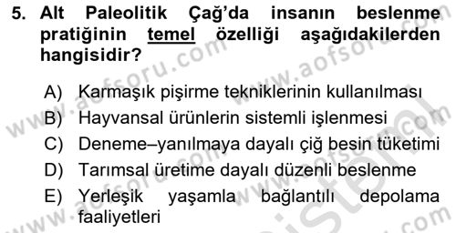 Gastronomi Tarihi Dersi 2025 - 2026 Yılı (Vize) Ara Sınav Soruları 5. Soru