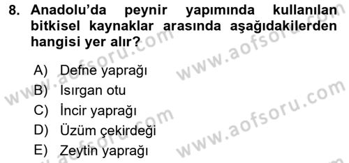 Gastronomi Tarihi Dersi 2025 - 2026 Yılı (Vize) Ara Sınav Soruları 8. Soru
