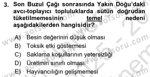 Gastronomi Tarihi Dersi 2025 - 2026 Yılı (Final) Dönem Sonu Sınav Soruları 3. Soru