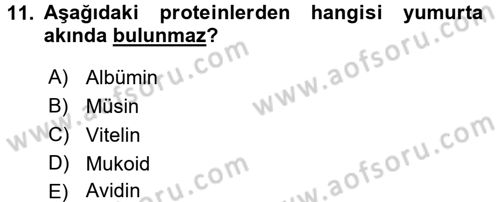 Beslenmenin Temel İlkeleri Dersi 2015 - 2016 Yılı (Final) Dönem Sonu Sınav Soruları 11. Soru