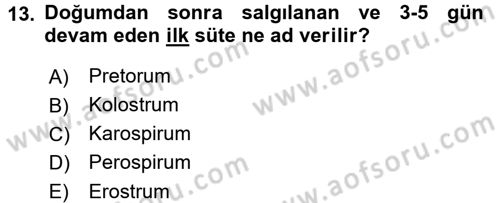 Beslenmenin Temel İlkeleri Dersi 2015 - 2016 Yılı (Final) Dönem Sonu Sınav Soruları 13. Soru