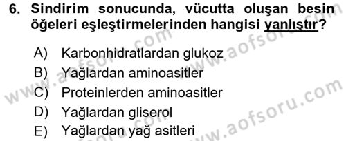 Beslenmenin Temel İlkeleri Dersi 2015 - 2016 Yılı (Final) Dönem Sonu Sınav Soruları 6. Soru