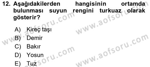 Beslenmenin Temel İlkeleri Dersi 2016 - 2017 Yılı (Vize) Ara Sınav Soruları 12. Soru