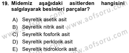 Beslenmenin Temel İlkeleri Dersi 2016 - 2017 Yılı (Vize) Ara Sınav Soruları 19. Soru