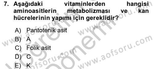 Beslenmenin Temel İlkeleri Dersi 2016 - 2017 Yılı (Vize) Ara Sınav Soruları 7. Soru