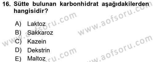 Beslenmenin Temel İlkeleri Dersi 2016 - 2017 Yılı (Final) Dönem Sonu Sınav Soruları 16. Soru