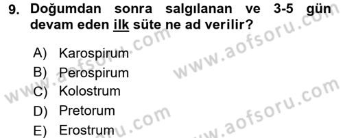 Beslenmenin Temel İlkeleri Dersi 2016 - 2017 Yılı (Final) Dönem Sonu Sınav Soruları 9. Soru