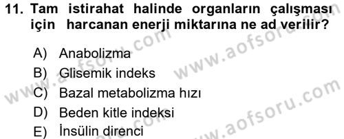 Beslenmenin Temel İlkeleri Dersi 2017 - 2018 Yılı 3 Ders Sınav Soruları 11. Soru