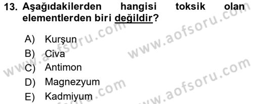 Beslenmenin Temel İlkeleri Dersi 2017 - 2018 Yılı 3 Ders Sınav Soruları 13. Soru