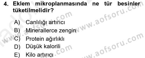 Beslenmenin Temel İlkeleri Dersi 2017 - 2018 Yılı 3 Ders Sınav Soruları 4. Soru