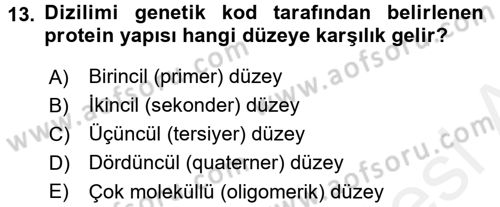 Beslenmenin Temel İlkeleri Dersi 2017 - 2018 Yılı (Vize) Ara Sınavı 13. Soru